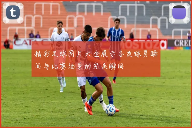 精彩足球图片大全展示各类球员瞬间与比赛场景的完美瞬间