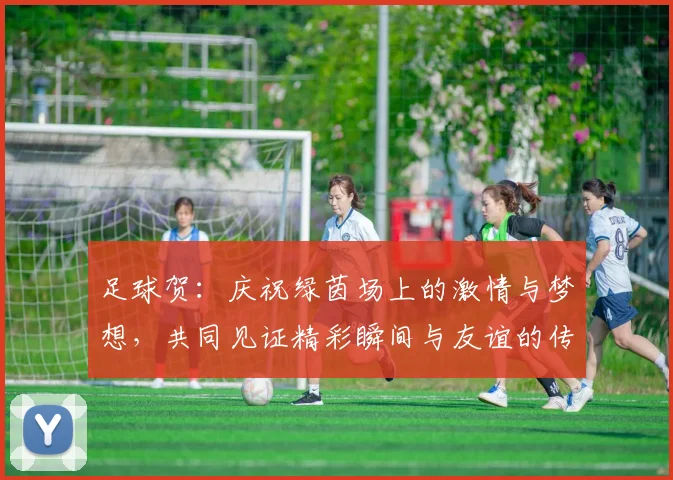 足球贺：庆祝绿茵场上的激情与梦想，共同见证精彩瞬间与友谊的传承