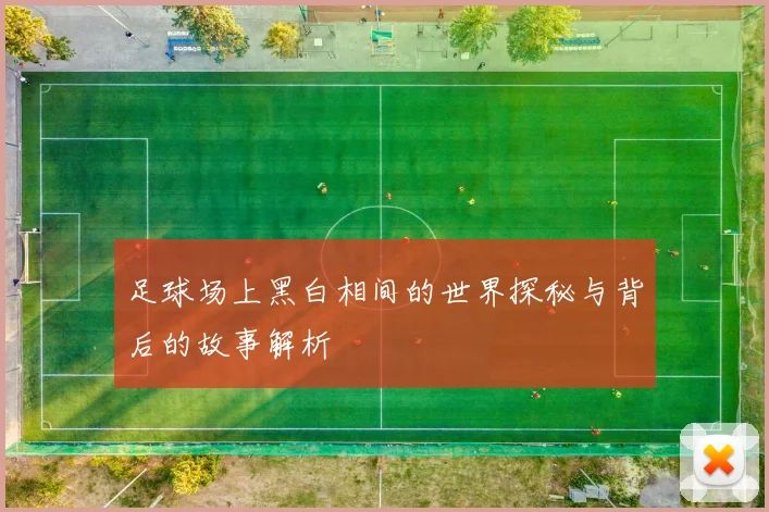 足球场上黑白相间的世界探秘与背后的故事解析