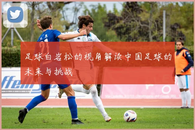 足球白岩松的视角解读中国足球的未来与挑战